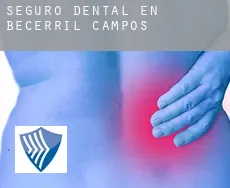 Seguro dental en  Becerril de Campos