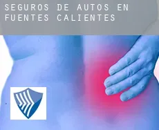 Seguros de autos en  Fuentes Calientes