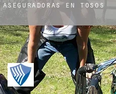 Aseguradoras en  Tosos