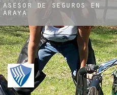 Asesor de seguros en  Araia