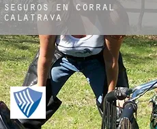 Seguros en  Corral de Calatrava