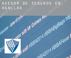 Asesor de seguros en  Agallas