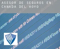 Asesor de seguros en  Cañada del Hoyo