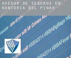 Asesor de seguros en  Hontoria del Pinar