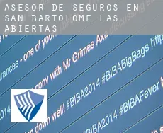 Asesor de seguros en  San Bartolomé de las Abiertas