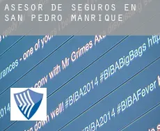 Asesor de seguros en  San Pedro Manrique