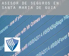 Asesor de seguros en  Santa María de Guía de Gran Canaria