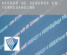 Asesor de seguros en  Torresandino