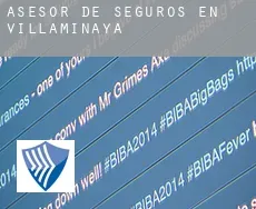 Asesor de seguros en  Villaminaya