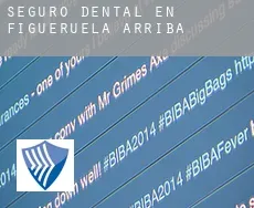 Seguro dental en  Figueruela de Arriba