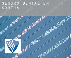 Seguro dental en  Soneja