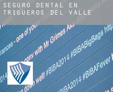 Seguro dental en  Trigueros del Valle