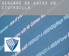 Seguros de autos en  Ciutadilla