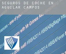 Seguros de coche en  Aguilar de Campos