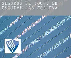 Seguros de coche en  Esguevillas de Esgueva