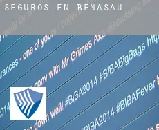 Seguros en  Benasau