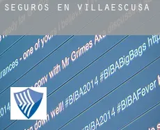 Seguros en  Villaescusa