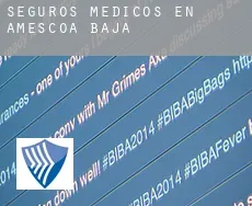 Seguros medicos en  Améscoa Baja