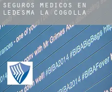 Seguros medicos en  Ledesma de la Cogolla