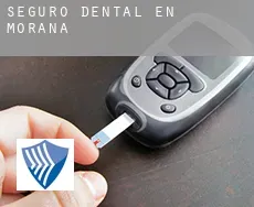 Seguro dental en  Moraña