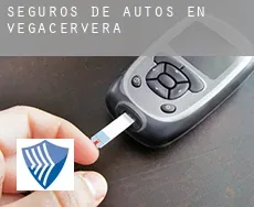 Seguros de autos en  Vegacervera