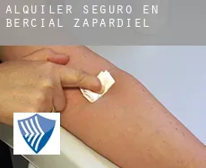 Alquiler seguro en  Bercial de Zapardiel