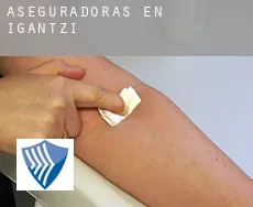 Aseguradoras en  Igantzi