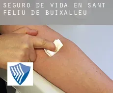 Seguro de vida en  Sant Feliu de Buixalleu