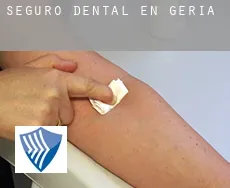 Seguro dental en  Geria