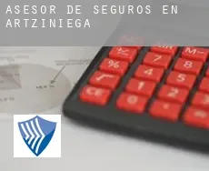 Asesor de seguros en  Artziniega