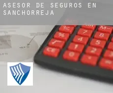 Asesor de seguros en  Sanchorreja