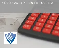 Seguros en  Sotresgudo