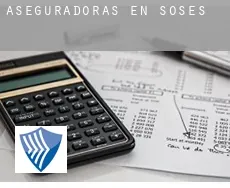 Aseguradoras en  Soses