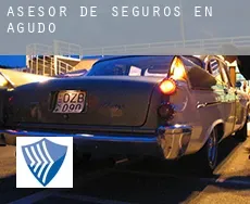 Asesor de seguros en  Agudo