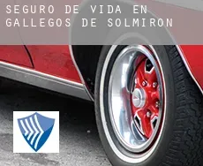 Seguro de vida en  Gallegos de Solmirón