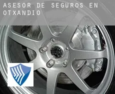 Asesor de seguros en  Otxandio