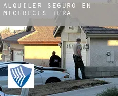 Alquiler seguro en  Micereces de Tera