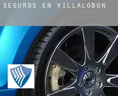 Seguros en  Villalobón