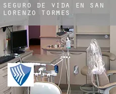 Seguro de vida en  San Lorenzo de Tormes