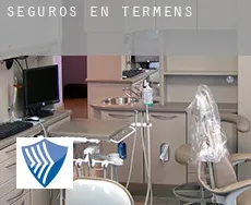 Seguros en  Térmens