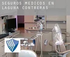 Seguros medicos en  Laguna de Contreras