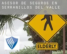 Asesor de seguros en  Serranillos del Valle