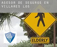 Asesor de seguros en  Villares (Los)