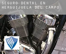 Seguro dental en  Herguijuela del Campo