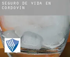 Seguro de vida en  Cordovín