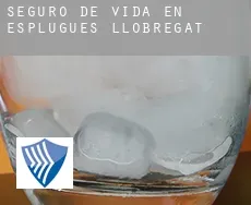 Seguro de vida en  Esplugues de Llobregat