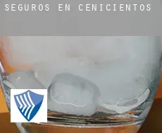 Seguros en  Cenicientos