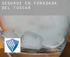 Seguros en  Foradada del Toscar