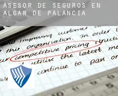 Asesor de seguros en  Algar de Palancia