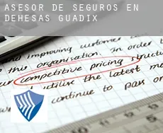 Asesor de seguros en  Dehesas de Guadix